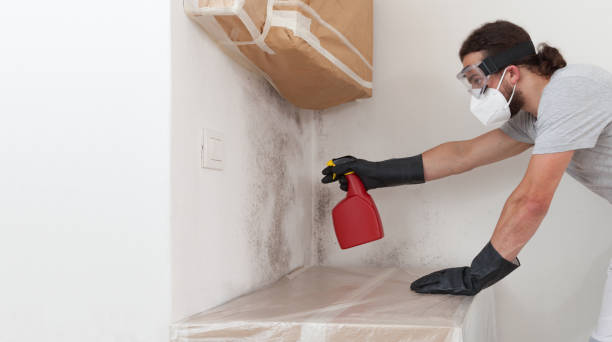 Professional Mold Testing technician working in Waverly, NY
