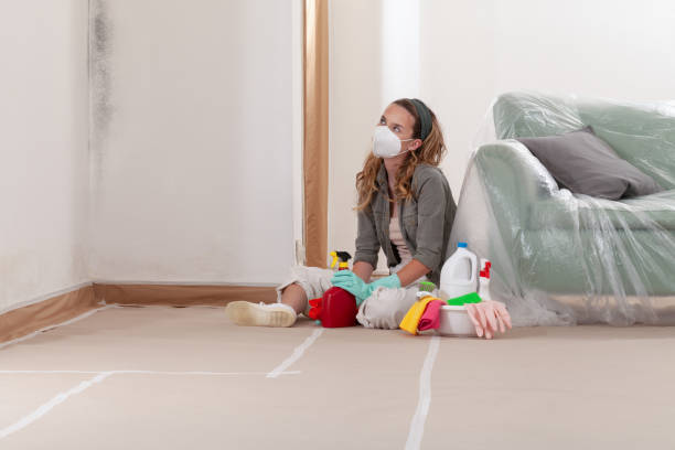 Reliable Mold Testing contractor in Waverly, NY by WQB Mold Removal